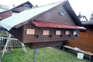 Das fertig gebaute Vogelhaus kurz vor der Aufstellung