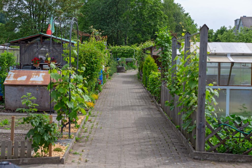 Familiengarten Areal Unterried / Chriesbach im Mai 2018