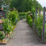 Familiengarten Areal Unterried / Chriesbach im Mai 2018