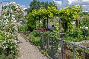 Das Familiengarten Areal Zelgli im Frühling