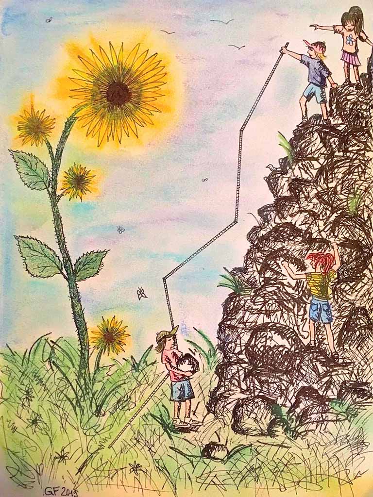 Sonnenblumenwettbewerb. Zeichnung: Giulia Flynn für VFD