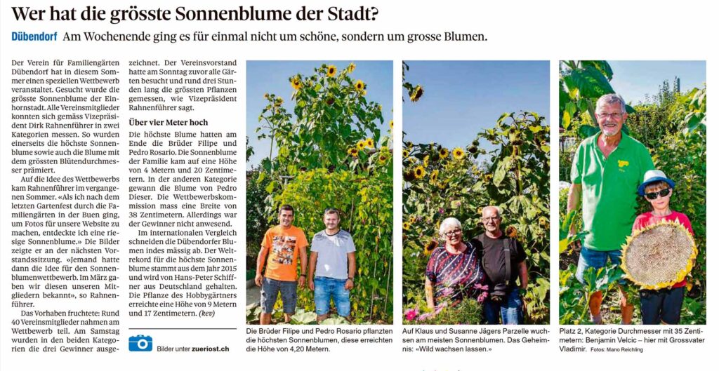 Wer hat die grösste Sonnenblume der Stadt Dübendorf?