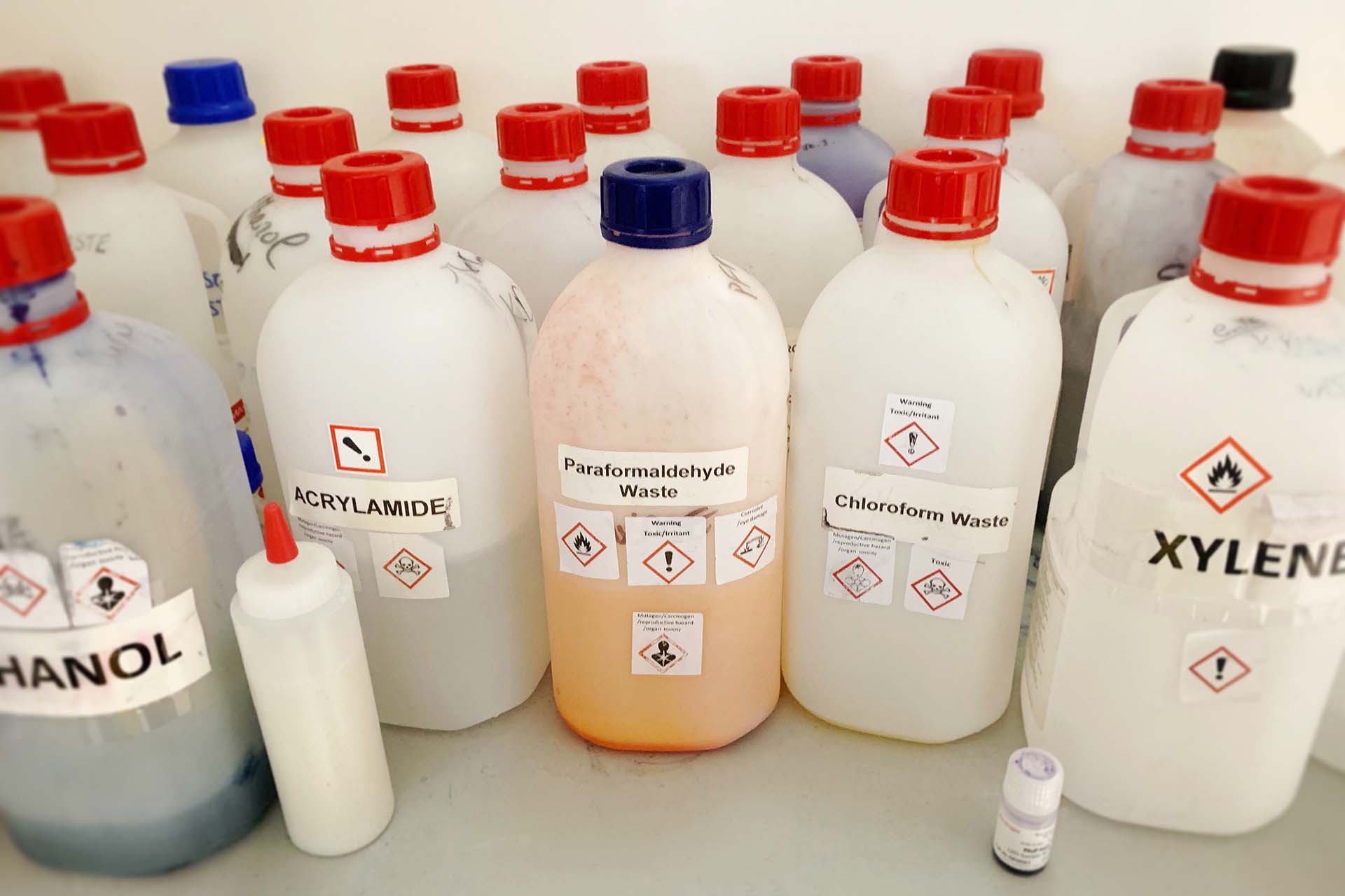 Symbolbild: Das Sonderabfallmobil kommt nach Dübendorf, Beispiele für typische Sonderabfälle (Chemikalien, Farben etc.)