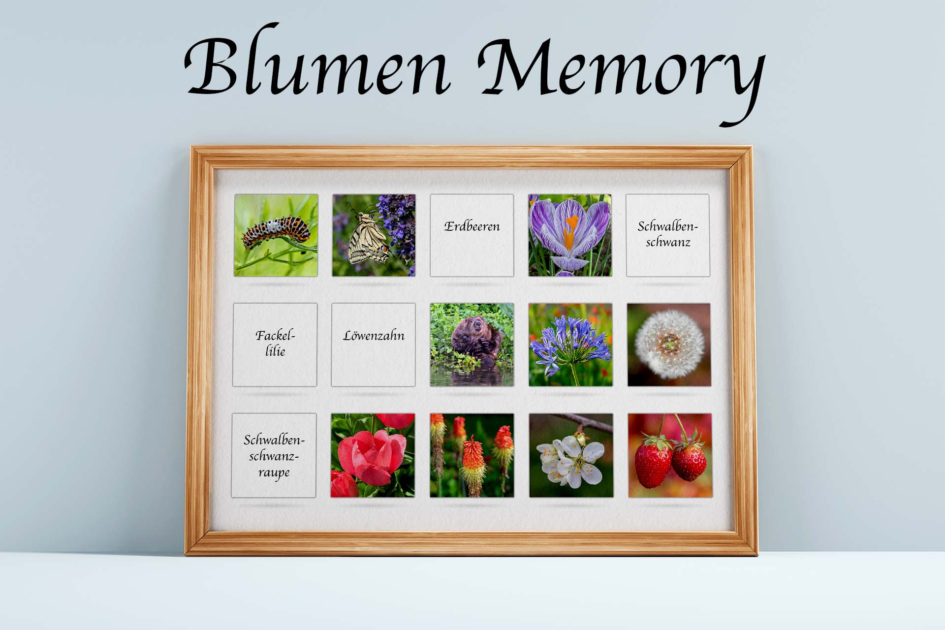 Spiel unsere Blumen-Memory. Endloser Spielspass. Jetzt neu: Edition 2023 mit einem neuen Blumenquiz und neuen Karten.