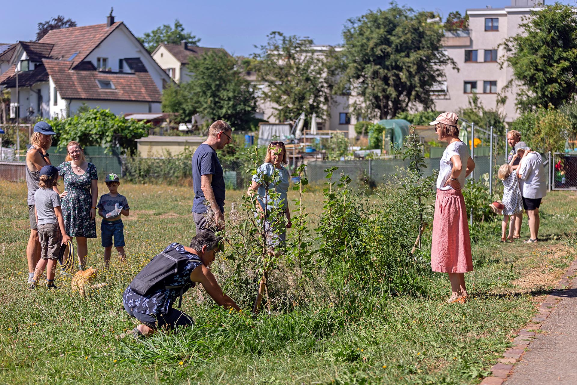 Im Juli 2023 wurde der essbare Naschgarten Sonnenberg inoffiziell eingeweiht. Mitglieder des Verein für Familiengärten Dübendorf VFD haben sich an einem sonnigen Sommertag in der Freizeit getroffen, um ehrenamtlich den Naschgarten zu jäten und sich über das Projekt auszutauschen.