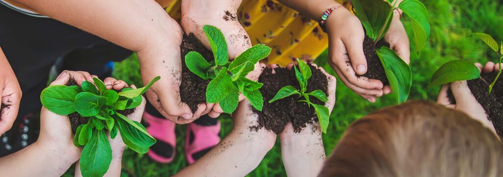 Pflanzentauschbörse Dübendorf, an der Oberen Mühle in Dübendorf, organisiert vom Naturschutzverein Dübendorf (Symbolbild)