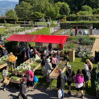 Spezialitätenmarkt, ZHAW Zürcher Hochschule für Angewandte Wissenschaften, Wädenswil